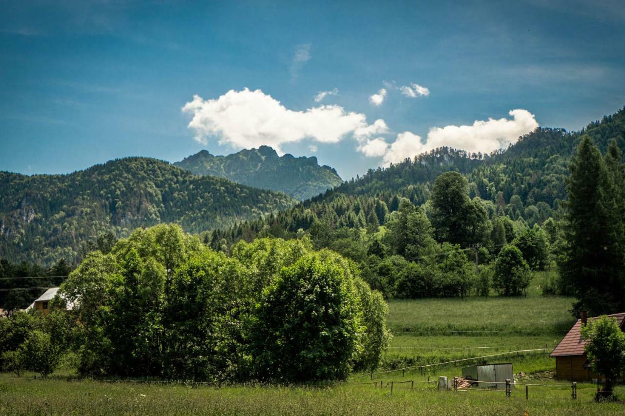 Apartmány Jánošík Terchová Esterno foto